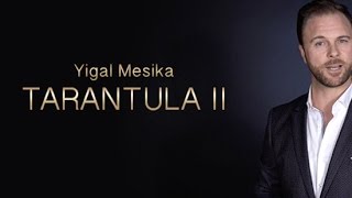 Tarantula II by Yigal Mesika [upl. by Eynahpets]