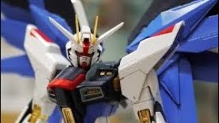 MG MIGHTY STRIKE FREEDOM GUNDAM WIP [upl. by Hasen]