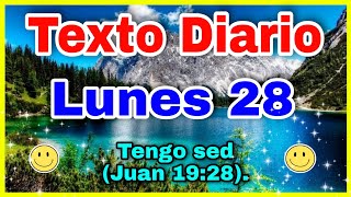 Texto diario lunes 28 de agosto 2023 ✅ texto diario 🔴 TEXTO DIARIO de Hoy [upl. by Roy963]