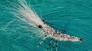 Hedron Flytying Wing n flash shrimp [upl. by Eriam]