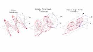 Linear Circular and Elliptical Polarization Animation in a Single Shot [upl. by Barty]