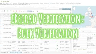 iRecord Verification Bulk Verification [upl. by Adama]