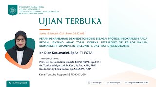 Ujian Terbuka Program Doktor FKKMK UGM Atas Nama dr Dian Kesumarini SpAnTI FCTA [upl. by Ahtivak]