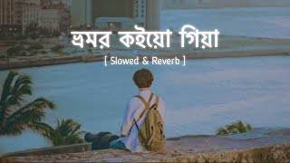 ভ্রমর কইয়ো গিয়া  Slowed amp Reverb  Bhromor Lofi  Surojit  Radharaman Dutta  Zihans Lofi [upl. by Krahmer570]