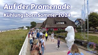 Auf der Promenade  Kühlungsborn Sommer 2024 [upl. by Sacul]