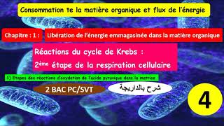 Réactions du cycle de krebs 2ème étape de la respiration cellulaire 2bac pcsvt شرح بالداريجة 4 [upl. by Odlanra]