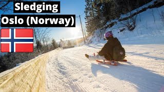 Oslo Travel Guide Downhill sledding Winter Sport at Korketrekkeren Frognerseteren [upl. by Godwin]