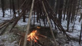 Building a Wickiup Shelter Day 1 [upl. by Luca]