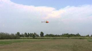 Acrobat Shark flight HD 20110714 1 [upl. by Yaned860]