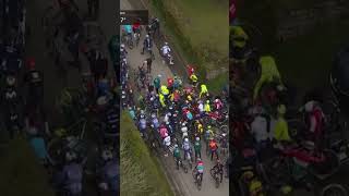 A BIG crash in the bunch blocks Mathieu van der Poels way 💥LBL cycling roadrace HomeOfCycling [upl. by Acsecnarf]