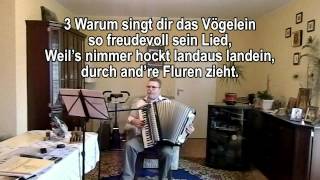 MEIN VATER WAR EIN WANDERSMANN ohne Vokal mit Text zum Mitsingen [upl. by Kcinom700]