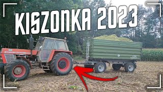 Kiszonka Z Kukurydzy 2xMcCormick I Zetor W Odwozie Uprawa Oraz Orka Po Kukurydzy Plon Zadowalający [upl. by Suirtimed]