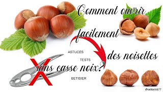 Comment ouvrir facilement des noisettes Tests astuces  bêtisier How to open hazelnut tips amptrick [upl. by Laenej]