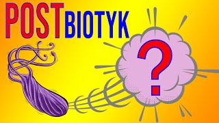 đź’ĄPOSTbiotyki  to nie PRObiotyki i nie PREbiotyki Odpowiedzi na pytania [upl. by Auhs]