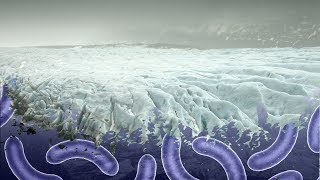 What Diseases Frozen in Ice could be Hidden in our Glaciers  Earth Science [upl. by Lincoln]