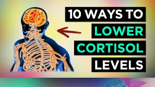 10 Ways To LOWER Your CORTISOL [upl. by Opalina]