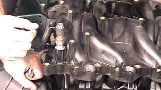 How to Install a PI Intake on a NonPI 46L 2V Ford Engine [upl. by Luebke]