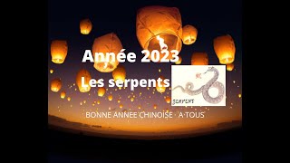 🐍 Serpents  signe astrologique chinois pour lannée 2023 🐍 [upl. by Alol]