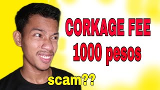 Why there is corkage fee [upl. by Nivi]