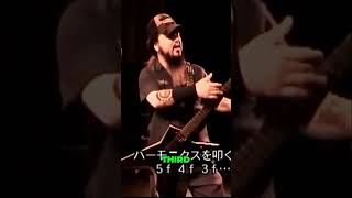 Dive Into Dimebag Darrells Guitar Wizardry [upl. by Nessi]