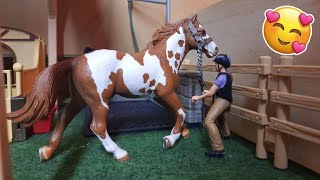 4 Reiterferien auf dem Grünwaldhof 2020 🐴 Eine kleine Reitstunde 🥰 Schleich Serie  Nonnilove [upl. by Nomzzaj472]