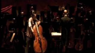 Dvorak Cello Concerto 2nd mvt PART I [upl. by Atnod]