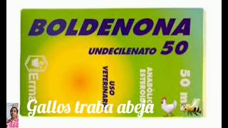 【 BOLDENONA 】 Para el gym [upl. by Eugenle]