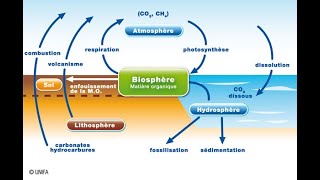 Les cycles biogéochimiques  cycle du carbone et cycle du dioxygène [upl. by Solly688]