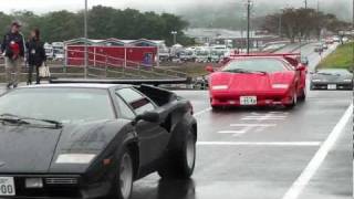 Many Lamborghini Countach V12 sound カウンタック軍団登場 [upl. by Dleifyar566]