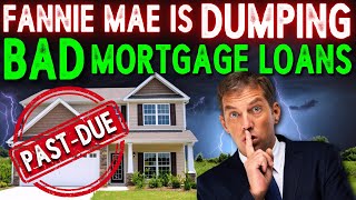 Fannie Mae is Selling Thousands of Non Performing Mortgages  Dont Tell Anyone [upl. by Adlen]