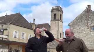 à Pommard avec Thierry VIOLOT du domaine Thierry VIOLOTGUILLEMARD la vidéo [upl. by Corneille]