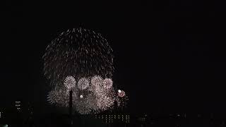 Itabashi Fireworks 2024 Final Scene [upl. by Lucilia]