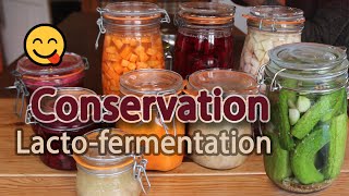 La lactofermentation une méthode de conservation sans danger et peu énergivore [upl. by Leoine]