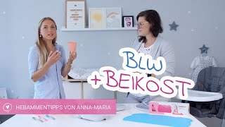 BabyLed Weaning  Alles was Du über Beikost wissen musst  Hebammentipps von AnnaMaria [upl. by Tiras]