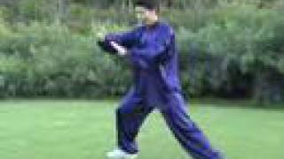 Tai Chi Form 24 Taiji [upl. by Owain]