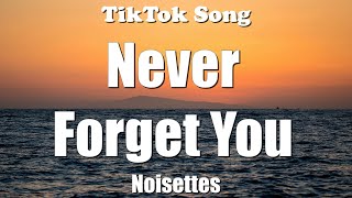 Noisettes  Never Forget You ill never forget you Lyrics  TikTok Song [upl. by Selma]