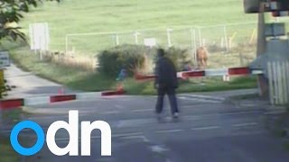 Caught on camera People dice with death in level crossing near misses [upl. by Malet]