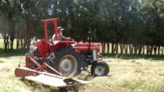 Massey Ferguson 165 and PZ CM 165 mower [upl. by Argyle]