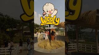 Wooly Sheep Cafe Sentul Bogor shorts cafe sentul bogor [upl. by Eadahs]