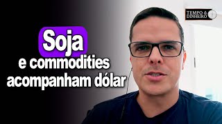 Soja e commodities acompanham dólar EUA e clima  mas produtor não deve assistir de camarote [upl. by Eenram]