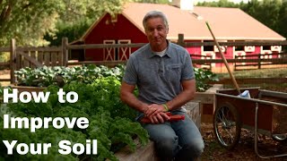 How to Improve Your Soil for Better Results in Any Lawn or Garden [upl. by Leirum55]