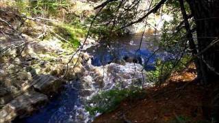 Spring Little Sturgeon River Meadowside Ontario Canada [upl. by Odracir954]