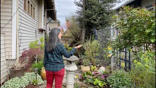 April Front Yard Garden Tour  Best Perennials Every Garden Should Have [upl. by Ahsieket]