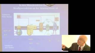 13ProfGellerichGestörte Mitochondrienfunktion beiParkinsonHuntingtonSepsisIschämieCPEO [upl. by Carlene]