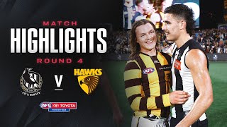 Collingwood v Hawthorn Highlights  Round 42024  AFL [upl. by Xad]