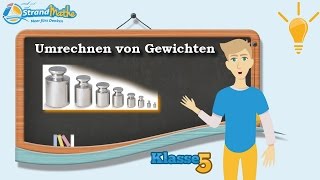 Gewicht umrechnen  kg g mg Tonne  Klasse 5 ★ Wissen [upl. by Pierpont981]