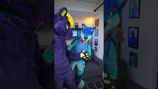 Reviewing Fursona Species Day 3030 Wolves 🐺 feat Rahne furries fursuit fursona [upl. by Pearline315]