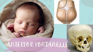 BHRAMHATALU AKA ANTERIOR FONTANELLE💀 IN NEW BORN 👶EXPLANATION OF PALPATION IN ANTERIOR FONTANELLE [upl. by Kimmie]