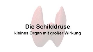 Die Schilddrüse – kleines Organ mit großer Wirkung [upl. by Rosenquist]