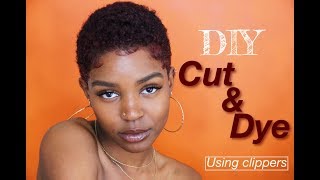 DIY TWA CUT amp DYE [upl. by Edette299]